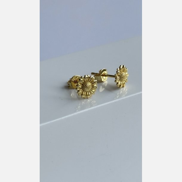 Solsikke �restikker | forgyldt messing (8 mm)