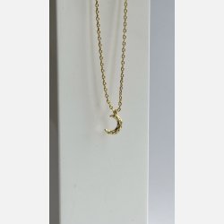 Halsk�de med m�nevedh�ng | forgyldt messing (40+5cm)