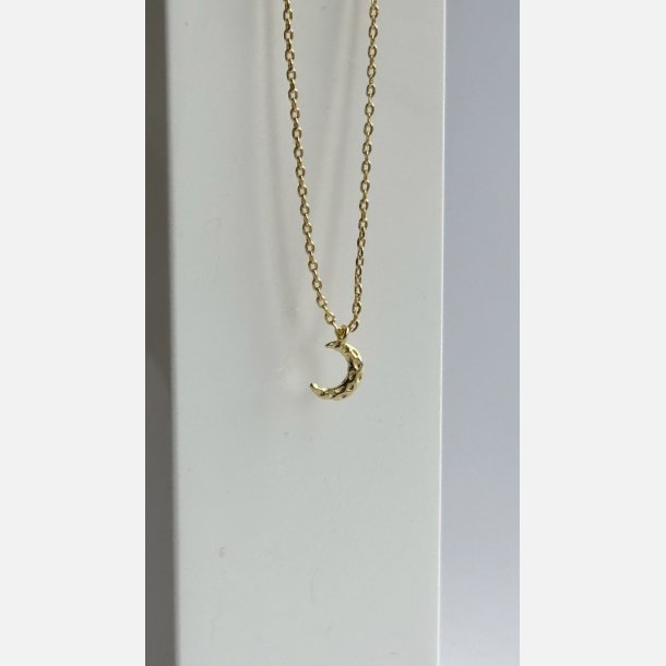 Halsk�de med m�nevedh�ng | forgyldt messing (40+5cm)