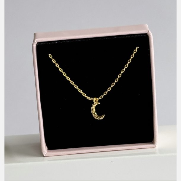 Halsk�de med m�nevedh�ng | forgyldt messing (40+5cm)