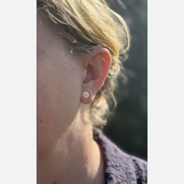 Solsikke �restikker | forgyldt messing (8 mm)