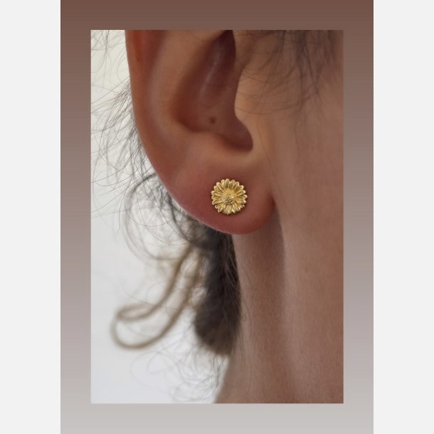 Solsikke �restikker | forgyldt messing (8 mm)