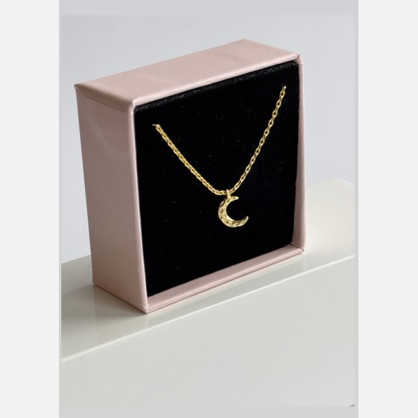 Halsk�de med m�nevedh�ng | forgyldt messing (40+5cm)