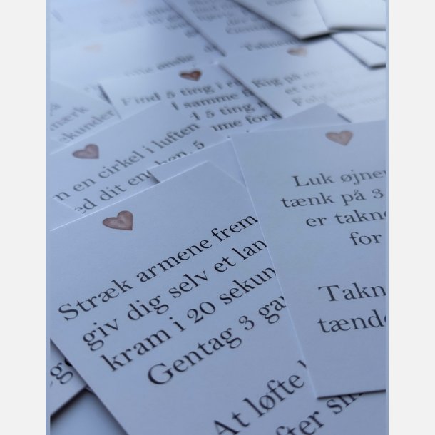 Julekalender Micropauser Ro/nrvr (24 A7 kort) Nr. 6 (2025)