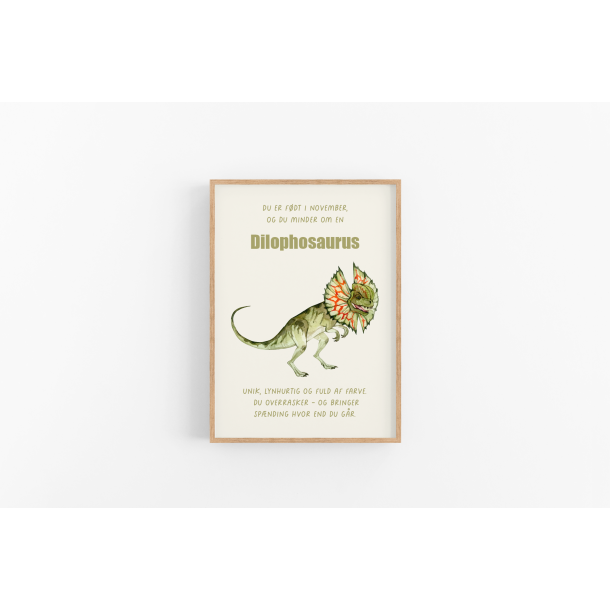 Mnedsplakat November + Bonusplakat (2 stk A4 plakater)