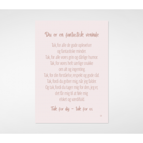 En fantastisk veninde  (A5)