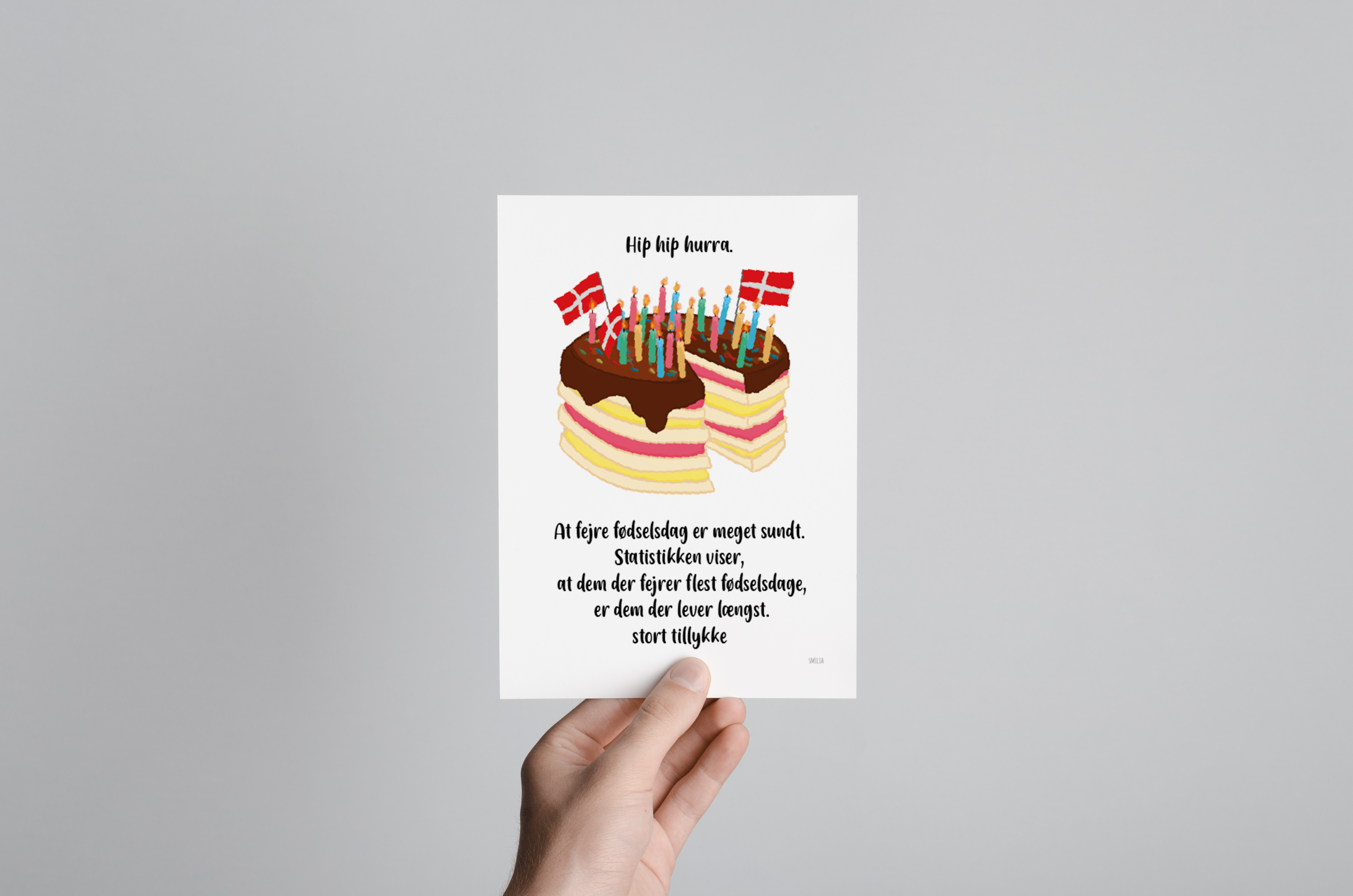 Medfølelse niece månedlige Fødselsdagskort A5 (med lagkage) - A5 Kort (små plakater 15x21cm) - StiLia  ApS