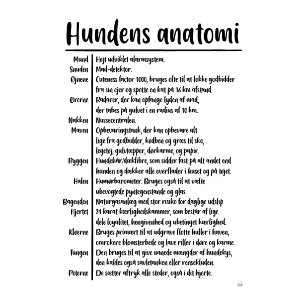 Hundens anatomi citatkollage A5