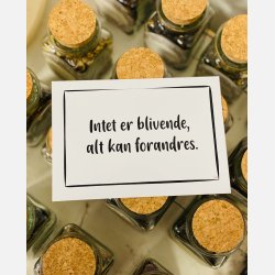 Intet er blivende, alt kan forandres A6