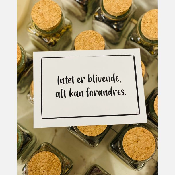 Intet er blivende, alt kan forandres A6