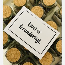 Livet er foranderligt A6