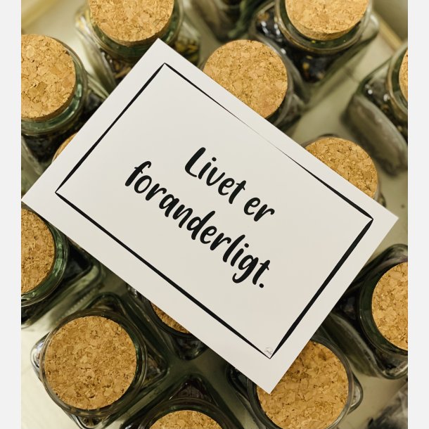 Livet er foranderligt A6