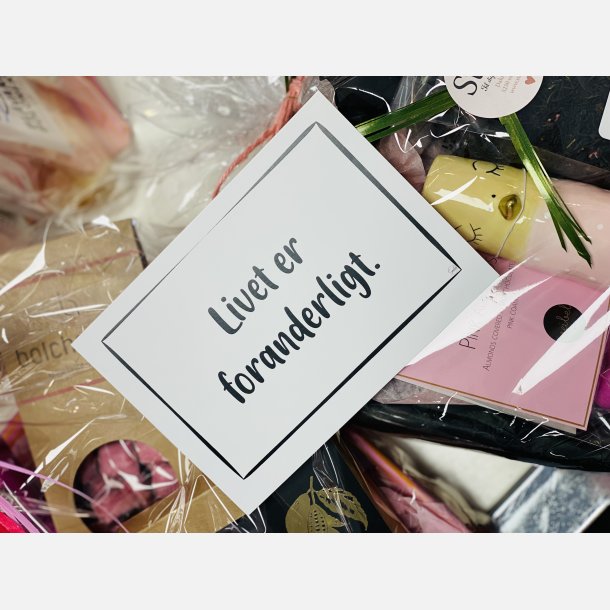 Livet er foranderligt A6