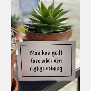 Man kan godt fare vild i den rigtige retning A6