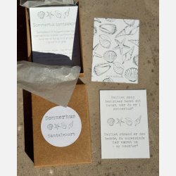 Sommerhus-samtalekort (A7 kort pakket i ske)