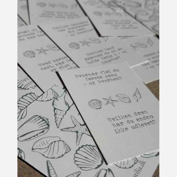 Sommerhus-samtalekort (A7 kort pakket i ske)