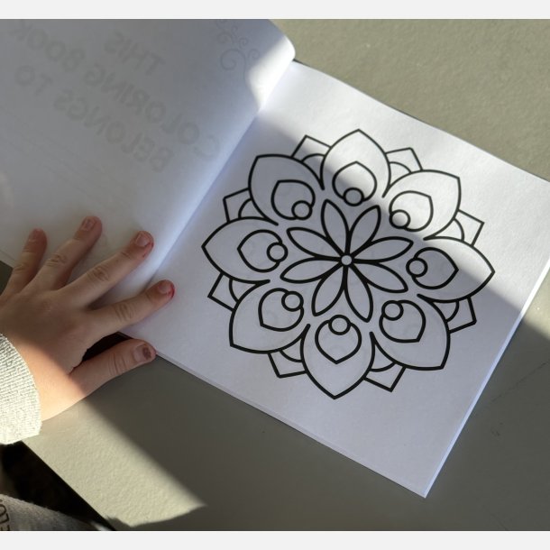 Flower Mandala  Bold and Easy Malebog 