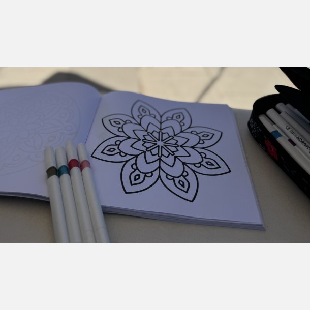 Flower Mandala  Bold and Easy Malebog 