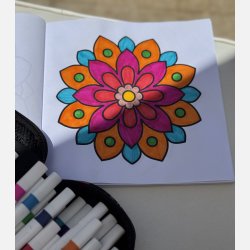 Flower Mandala  Bold and Easy Malebog 