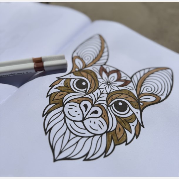 Animal Mandala Malebog  Bold &amp; Easy