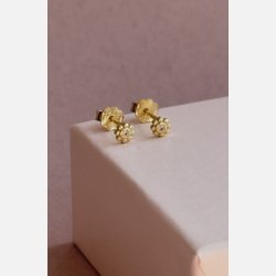 Tiny bloom (forgyldte m. rosa zirkonia) UDEN SMYKKESKE