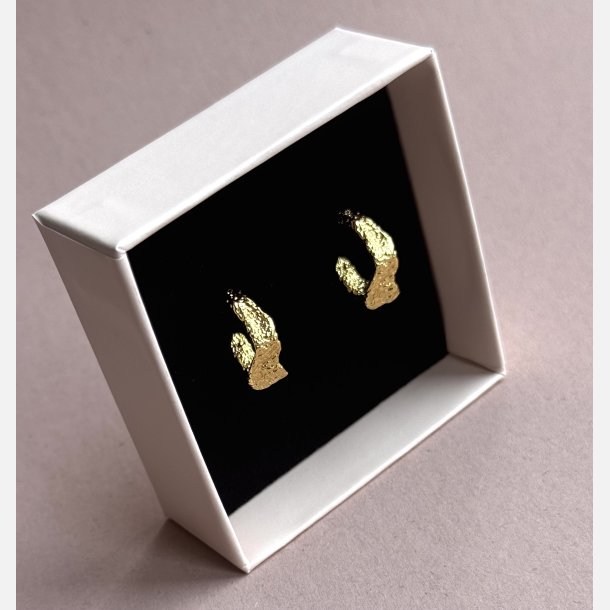 Raw hoops (Forgyldte) UDEN SMYKKESKE