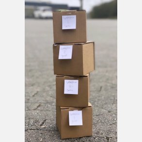 Lykkepakke smykker (Forgyldte)