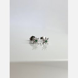 Nova tiny star grn (Forslvett)