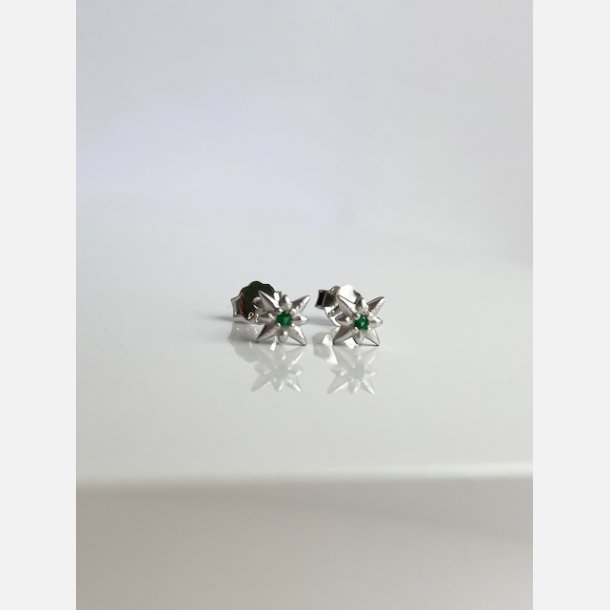 Nova tiny star grn (Forslvett)