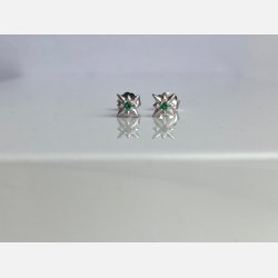 Nova tiny star grn (Forslvett)