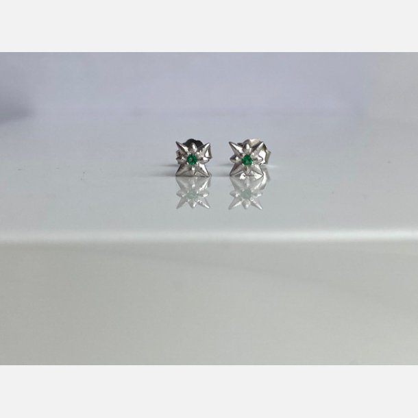 Nova tiny star grn (Forslvett)