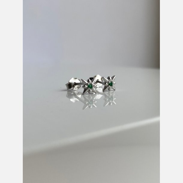 Nova tiny star grn (Forslvett)