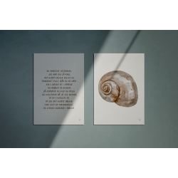 Kort fra kysten 3 (A5 kort sneglehus )