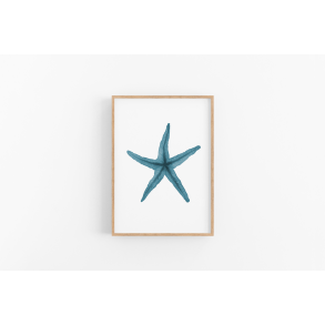 S�stjerne (bl� nuance) A4 plakat