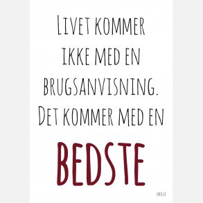 Livet kommer ikke med en brugsanvisning - det kommer med en bedste
