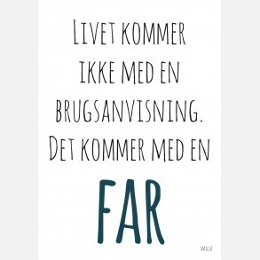 Livet kommer ikke med en brugsanvisning - det kommer med en far