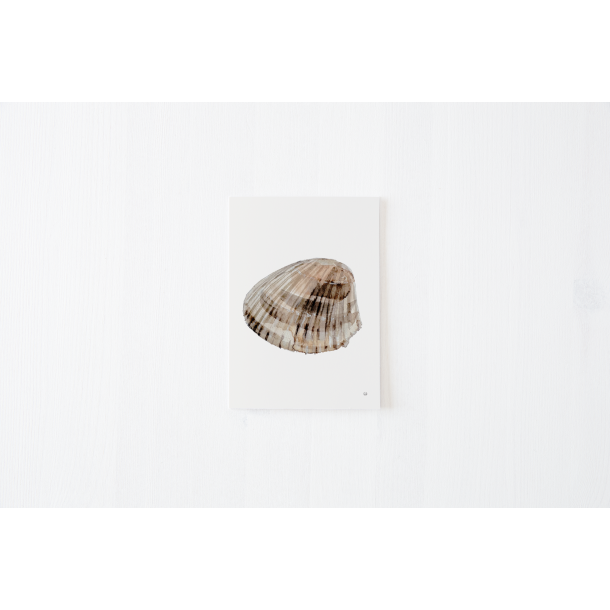 Kort fra kysten 2 (A5 kort musling )