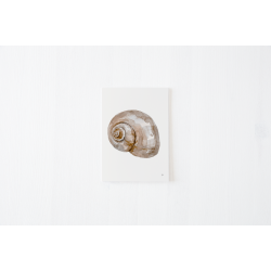 Kort fra kysten 3 (A5 kort sneglehus )