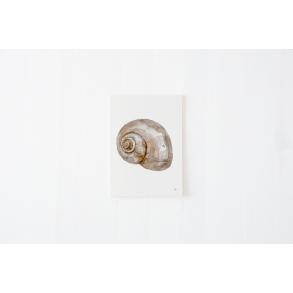 Kort fra kysten 3 (A5 kort sneglehus )