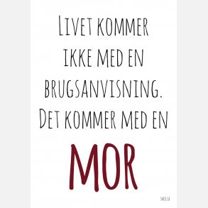 Livet kommer ikke med en brugsanvisning - det kommer med en mor 