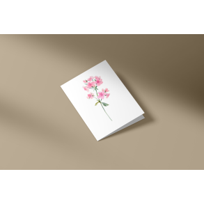 Rosa nellike (A7 foldekort)