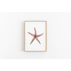 Sstjerne (brunlig nuance) A4 plakat